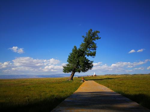 大自然对人类的启发