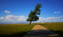 大自然给人类的启发