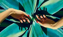 给大学生的16条建议