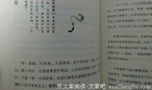 沈星经典语录语句