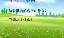 散步莫怀戚读后感