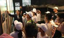 小萝卜头的故事读后感