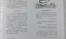 活了100万次的猫读后感