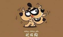 大学：茫，盲，忙