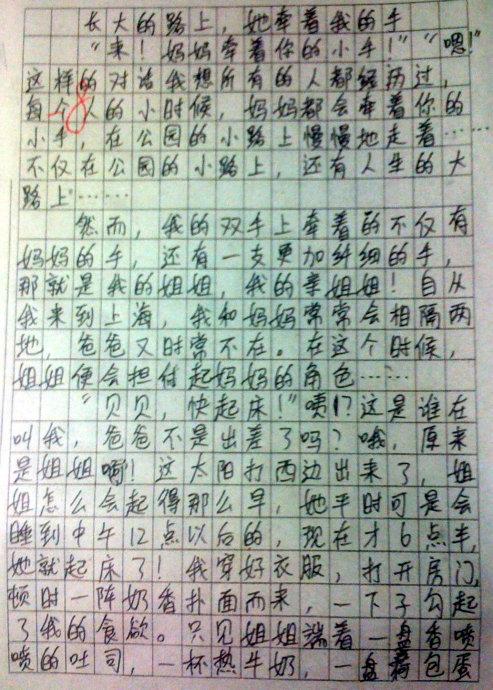 我的兄弟作文450字