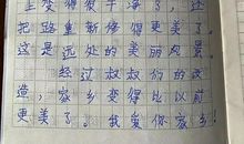 什么的目光作文