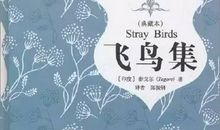 泰戈尔飞鸟集读后感