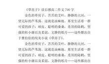 草房子读后感900字