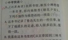 妈妈笑了作文400字