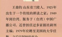 回忆一种淡淡痛读后感