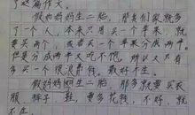 妈妈笑了作文450字