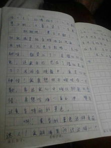 快乐的东西组成50个单词