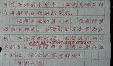 老师的爱作文