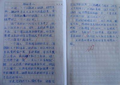 我亲戚组成的500个字