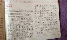 姐姐结婚了作文