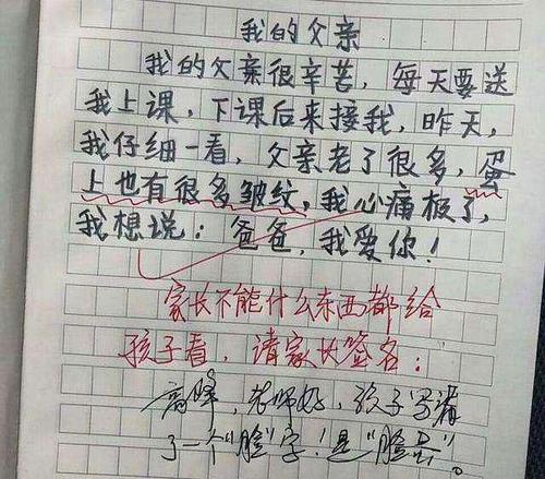 我父亲高中作文