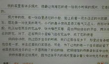 老照片的故事作文600字