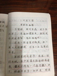 我的自画像作文800字