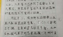 春节晚会作文200字