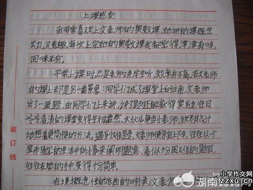 母亲的生日作文