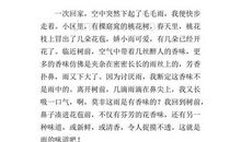 雨中送伞作文600字