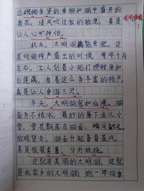 我爱我的故乡作文200字
