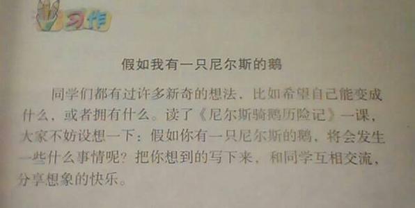 假设我有一个由Niels的鹅组成的100个字符的文字