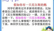 假如我有一只尼尔斯的鹅450字作文