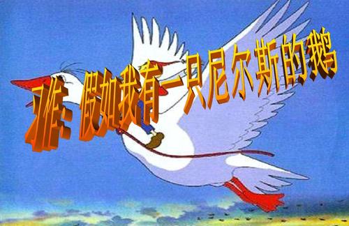 假设我有200个字符的Niels鹅组成