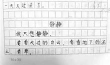 电脑的利与弊作文500字