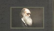 达尔文传读后感