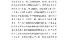 写夏天的作文600字