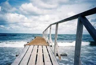 有多少大学生真正杰出