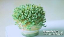 许志安经典语录语句