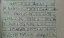 假如我有一只尼尔斯的鹅1000字作文