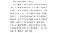 电脑的自述作文400字