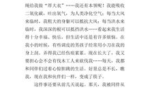 电脑的自述作文500字