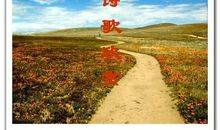 诗歌：相信未来