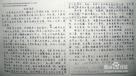 宽容的高中辩论论文