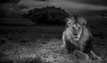 照片背后的故事