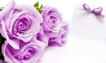 人心是不待风吹而自落的花