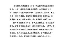 我爱秋天的果园作文