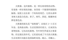 我学会了宽容400字作文