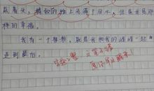 小学生作文我的梦想