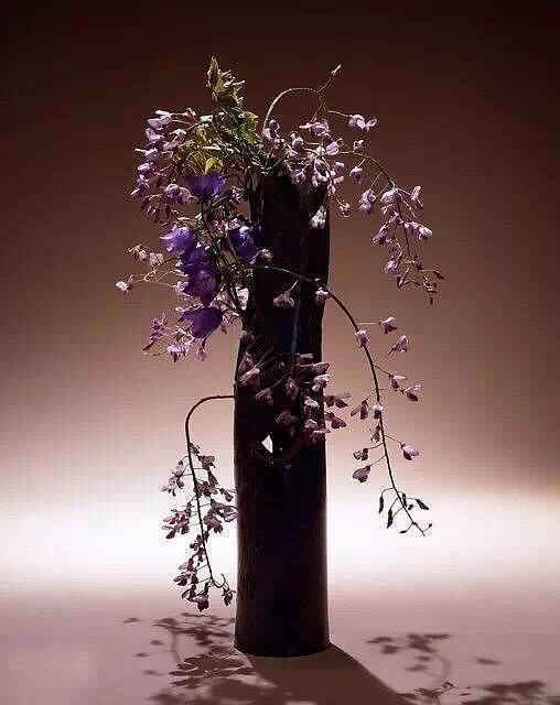 生活应该拥有的七种心脏药物