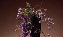 人生应该具备的七味心药