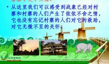 《最后一头战象》阅读记录卡