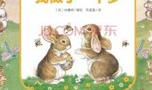 一张照片的故事