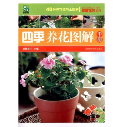 关于读花的感觉