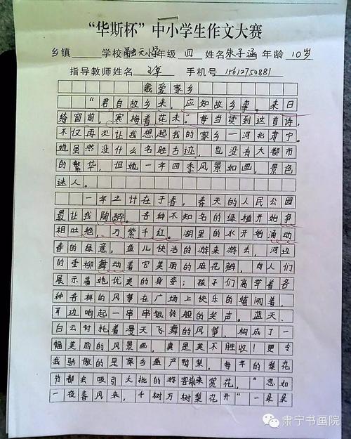 老师在乎我的作文